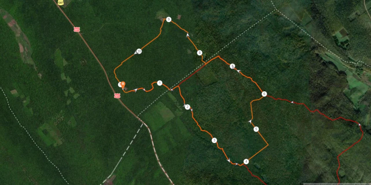 11 km