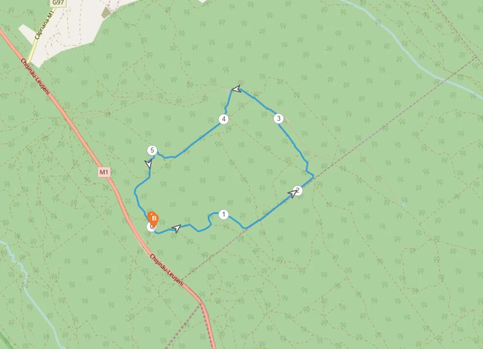 6 km